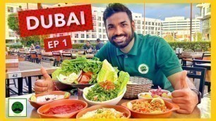 'Best VEG Food in DUBAI | Falafel, Hummus & More | Veggie Paaji'