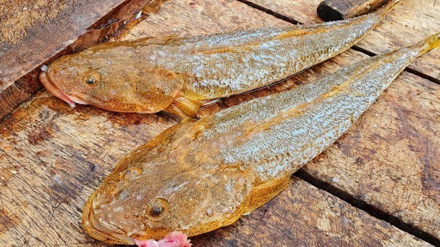 '2 Flathead Cat  Fish Cutting in Sri Lanka | Flathead Fish Cutting For Curry'