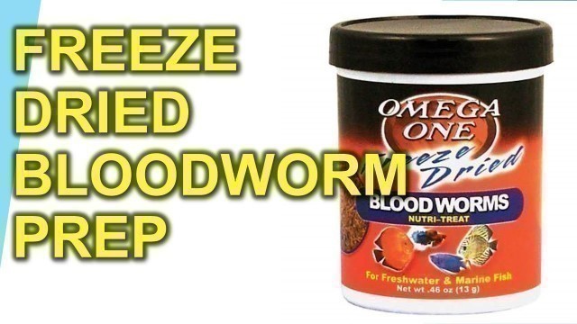 'How To Prepare Freeze Dried Bloodworms For Fish'