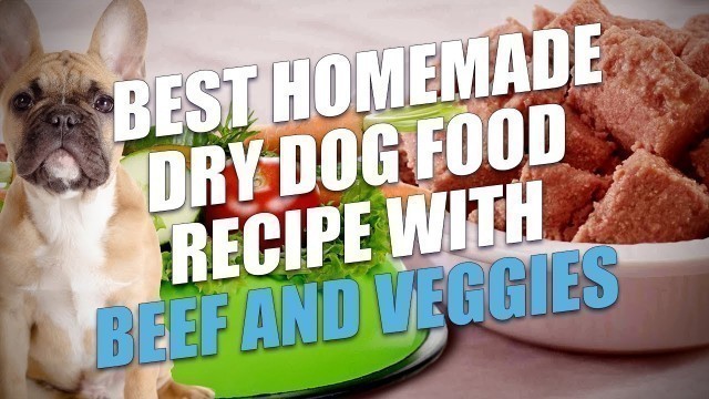 'Best Homemade Dry Dog Food Recipe with Beef and Veggies'