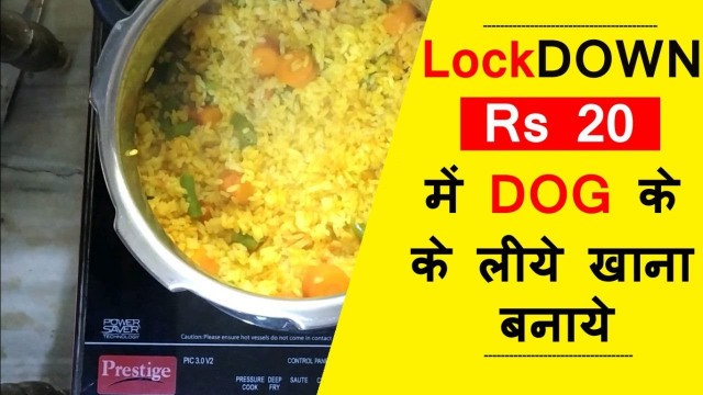 'Homemade Cheap Dog Food Recipe at Just Rs 20 in Hindi'