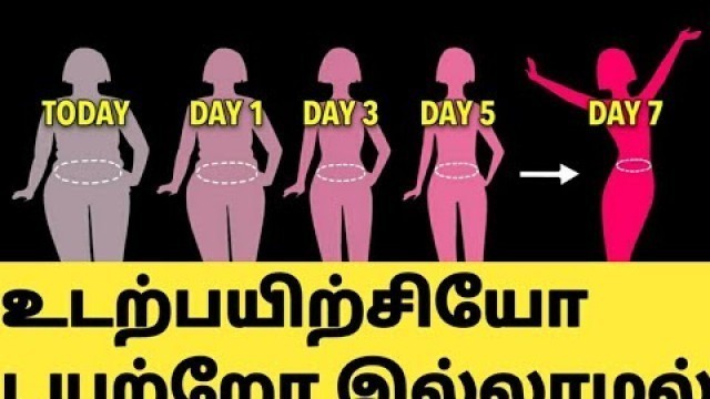 '7நாளில் 5கிலோ அளவுக்கு கொழுப்பை குறைக்க டிப்ஸ் HOW TO LOSE WEIGHT IN TAMIL/Weight Loss Tips in Tamil'