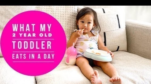 'WHAT MY 2 YEAR OLD TODDLER EATS IN A DAY | TODDLER FOOD IDEAS | 24 MONTH OLD TODDLER | FOOD DIARY'