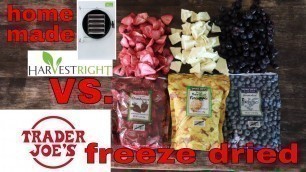 'Trader Joe\'s vs Home Freeze Dried Food // Strawberries, Pineapple, Blueberries'