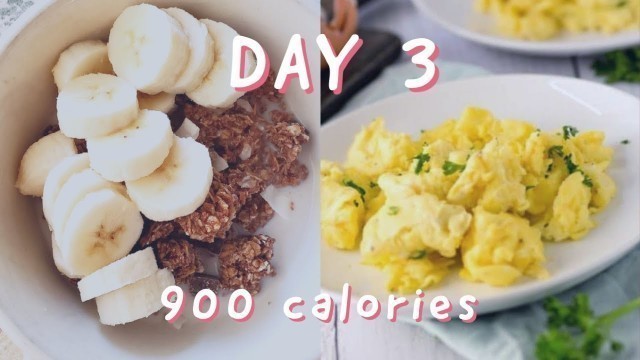 'diet vlog to lose weight in 1 month [food diary]'