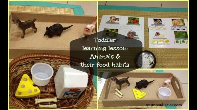 'Toddler / Preschooler Learning Lesson - Animals & their food habits (with FREE printables)'