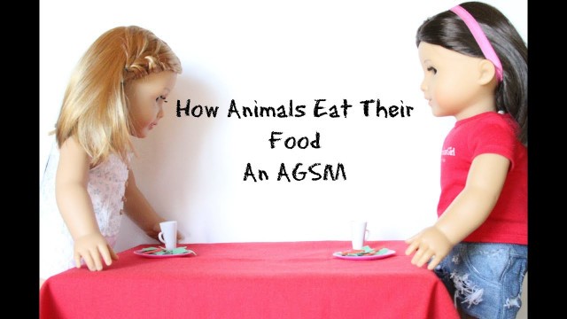 'How Animals Eat Their Food (An AGSM)'