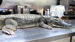 'CROCODILE CUTTING 鱷魚料理 /FRIED CROCODILE/CROCODILE STEAK- Taiwanese Food'