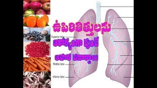 'Lungs Information in Telugu.'