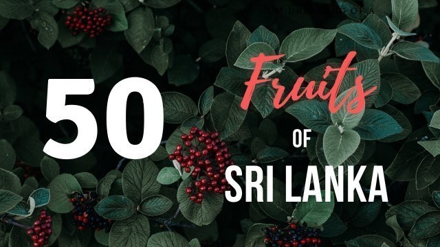 'Sri Lankan Fruits | Tropical and Wild Fruits of Sri Lanka.'