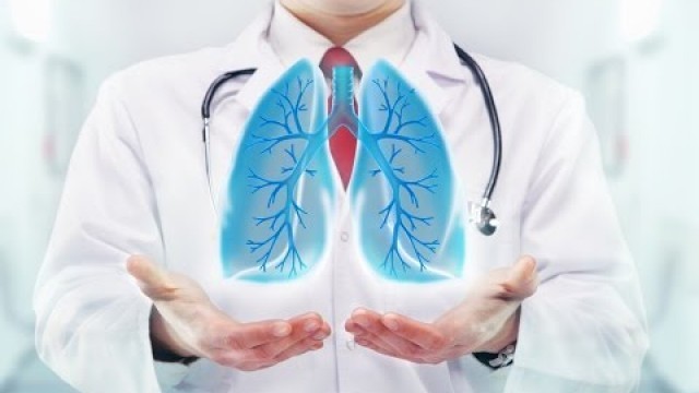 'Lung Disease, How To Clear Lungs, Effect Of Smoking On Lungs, Food For Healthy Lungs, Healthy Lung'