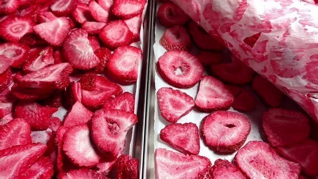 'Layering Strawberries Home Freeze Dryer Dried Fruit Tip How-To Food Storage'