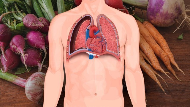 '7 Foods for Healthy Lungs and Improved Breathing'