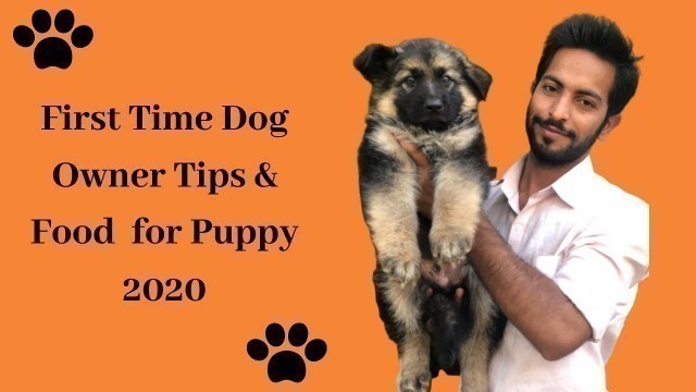 'First-time dog owner tips hindi|best food for dogs in hindi|best food for puppies|Dogsbreedofficial'