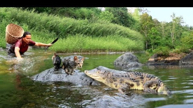 'survival in the rainforest - find crocodile & cook for dog with woman - Eating delicious HD'