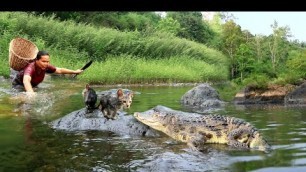'survival in the rainforest - find crocodile & cook for dog with woman - Eating delicious HD'