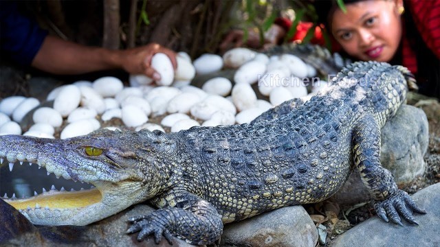 'Amazing! Catch & Cooking Crocodile with Big Crocodile Eggs Recipe in Forest – Crocodile Foods'