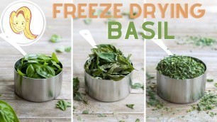 'How I Freeze Dry Basil at Home! (Harvest Right Freeze Dryer) | Chef Ani'