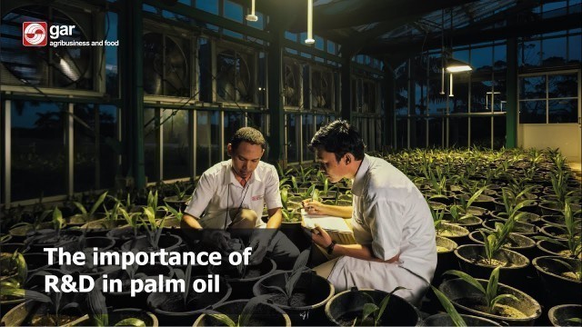 'The importance of R&D in palm oil'