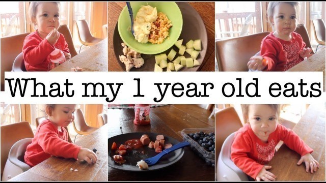 'What My 13 Month Old Eats in a Day!!'