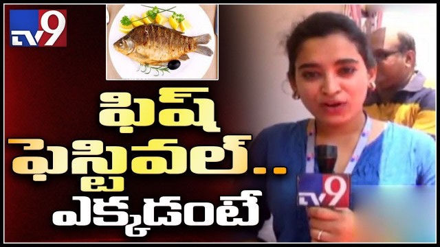 '3 day National Fish festival begins at Peoples Plaza || Hyderabad - TV9'