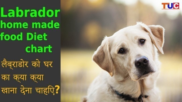 'Labrador HomeMade Food Diet Chart : Dog Tips : TUC'