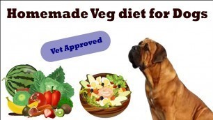 'Homemade Veg Diet plan for dogs/puppy ( in Hindi )'