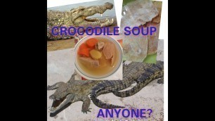 'Crocodile Meat Soup Anyone? Simple Soup Super Food'