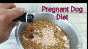 'Pregnant Dog Diet Chart In Hindi | All About Dogs'