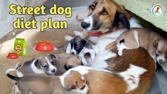 'Street dog diet plan / Diet Chart / In Hindi /  Street Dog Best Diet Chart'