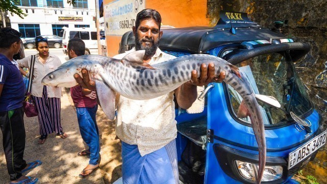 'Amazing Sri Lankan Food - ARMY SPECIAL FORCES in Batticaloa, Sri Lanka!'