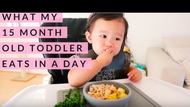 'WHAT MY 15 MONTH OLD TODDLER EATS IN A DAY | FOOD DIARY'