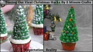 'Testing Out Viral Food Hacks By 5 MINUTE CRAFTS | Testing 5 Minute Crafts Christmas Hacks | H P'