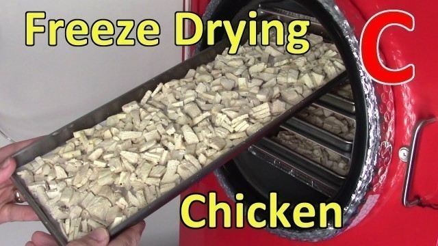 'Freeze Drying 2 Batches of Chicken'