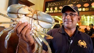 'Sri Lanka Food - CRABZILLA!! 1.7 KG Crab + $265 Seafood FEAST at The Ministry of Crab in Colombo!'