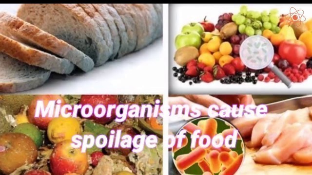 'Microorganisms || Food preservation'