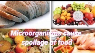 'Microorganisms || Food preservation'