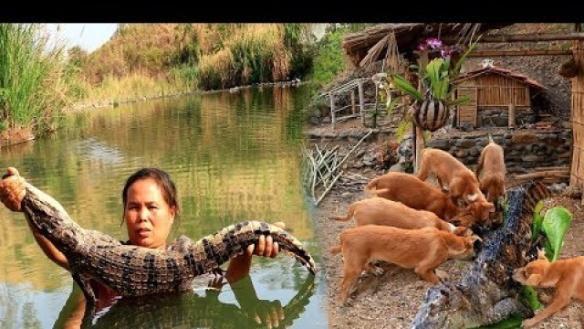 'survival in the rainforest - woman  make home & cook crocodile for dog - Eating delicious HD'