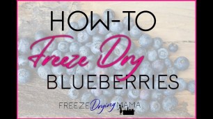 'How To Freeze Dry Blueberries'