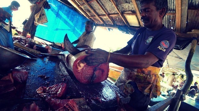 'Food Hunting in Sri Lanka 