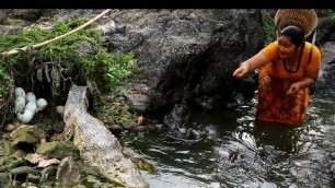 'Found Crocodile Eggs for food dog - Cooking skill Eggs Crocodile for dog - Eating delicious'