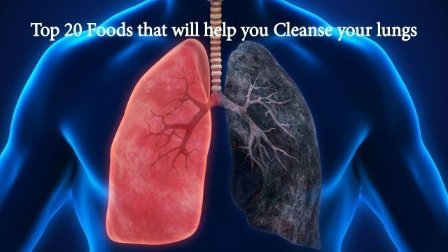 'Top 20 Foods that will help you Cleanse your Lungs || Foods that Improve Respiratory System'