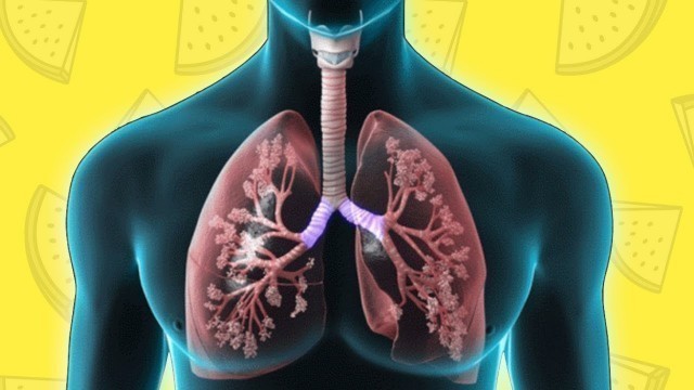 'These Foods Will Detoxify Your Lungs And Heal Them Naturally'