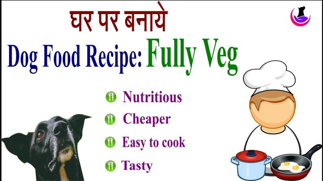 'Nutritious Dog Food Recipe: Fully Veg in Hindi II dog and vet II'