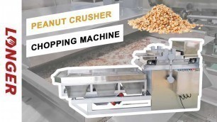 'Food Grade Peanut Cutting Crushing Machine / Nut Chopping Machine'