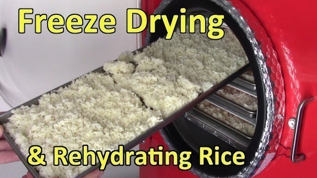 'Freeze Drying Cooked Rice'