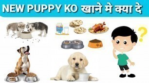 'New puppy ko khane ko kya de /in hindi / new puppy food'