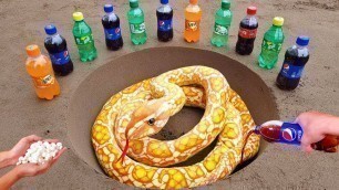 'Snake and Crocodile Challenge Food Different sodas such as Mentos and Coca-Cola Fanta, Mirinda'