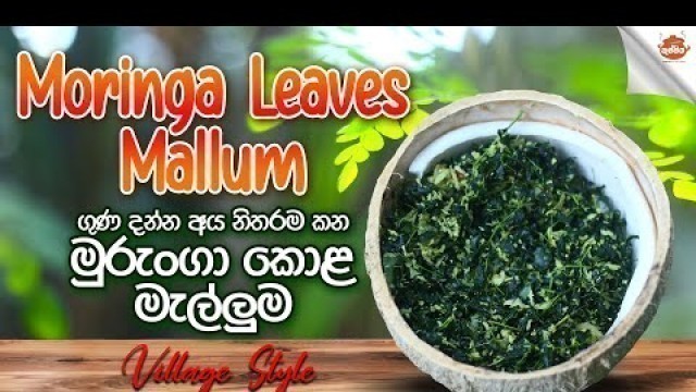 'Healthy Food Drumstick Leaves Recipe | Moringa leaves Mallum |Cuisine of sri lanka |  කුස්සිය'