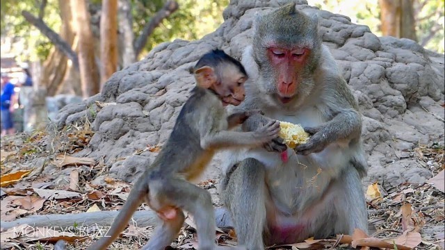 'NO JANET!!! Janna want to shared food with Mum - No Janet make Janna happy with mum'